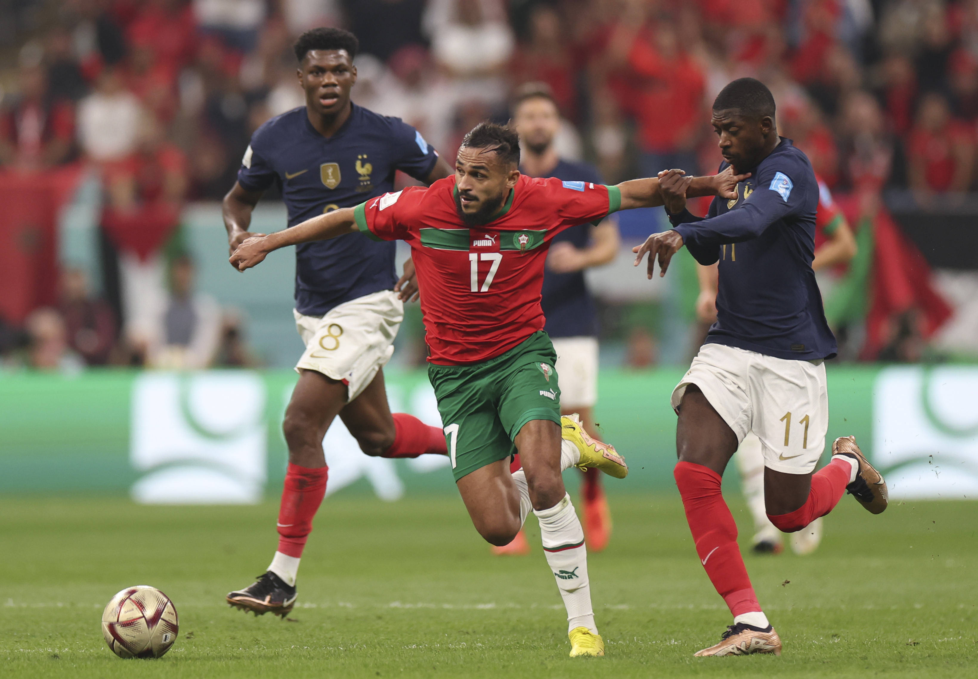 能力与专项 能力与专项